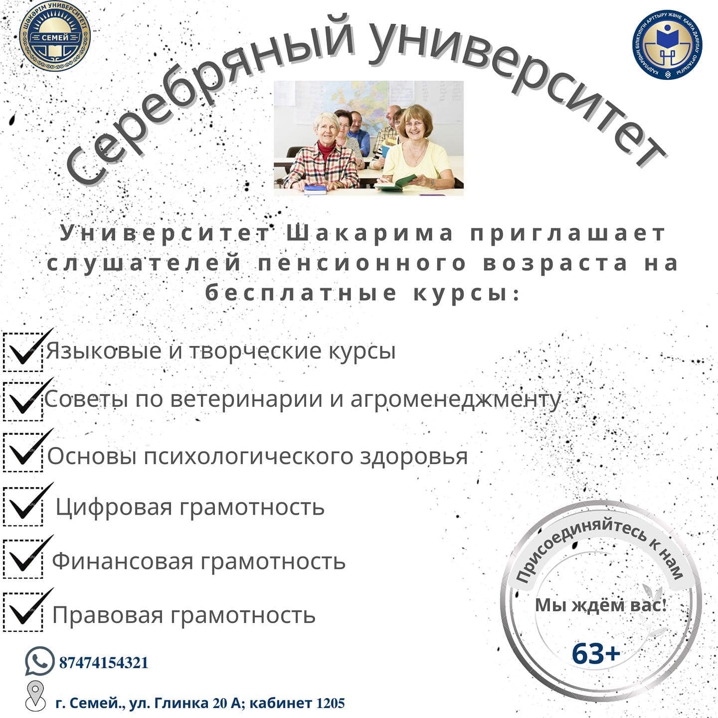 Серебряный университет