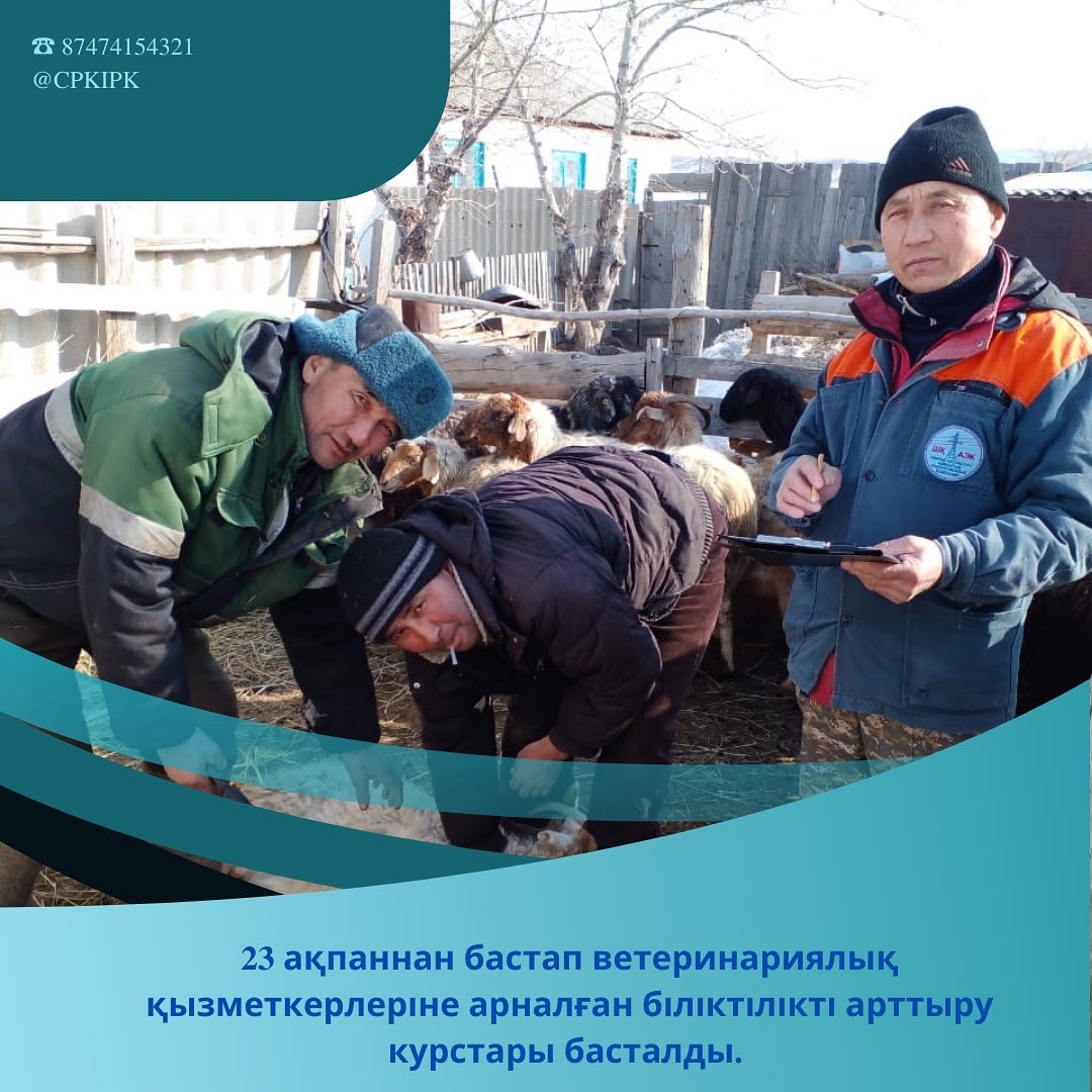 23 ақпаннан бастап ветеринариялық қызметкерлеріне арналған біліктілікті арттыру курстары басталды.